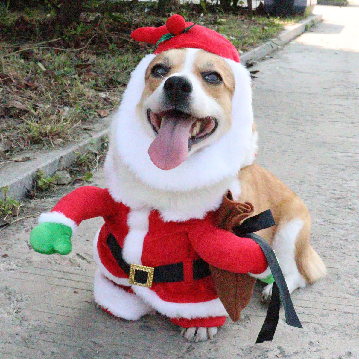 Pet Christmas Santa Claus Costume for Dogs and Cats