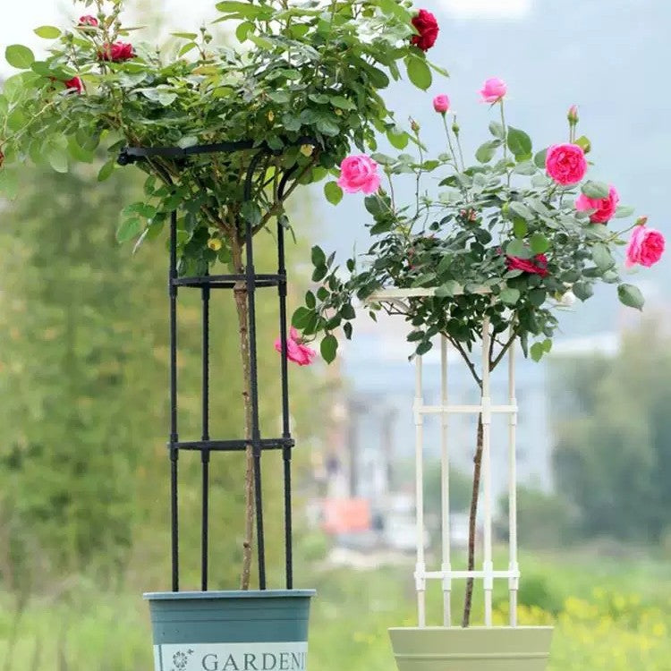 Metal Garden Trellis for Climbing Plants, Roses, Clematis - Umbrella Shape Plant Support