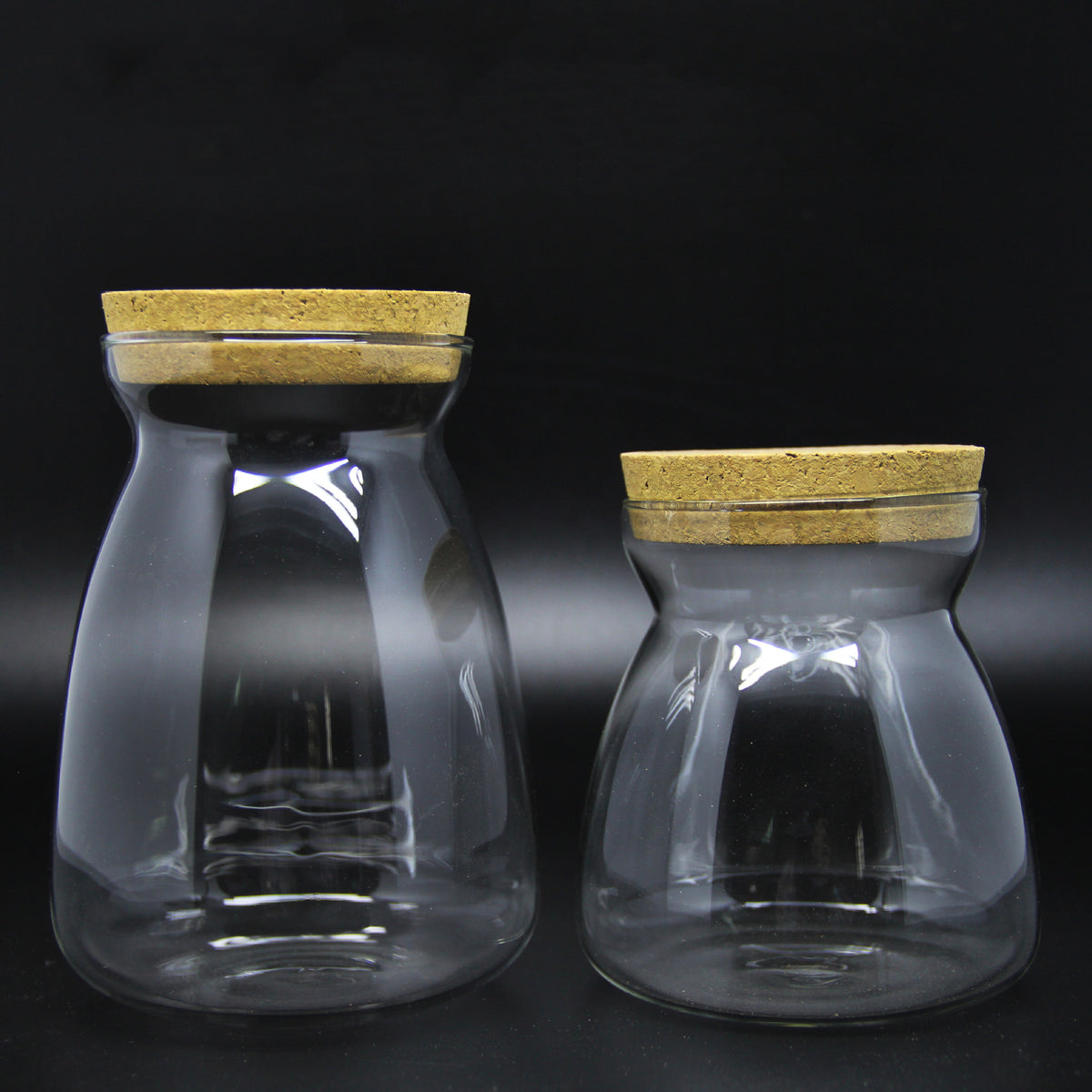 DIY Terrarium Glass Bottle with Cork Lid for Micro Landscape Moss Art