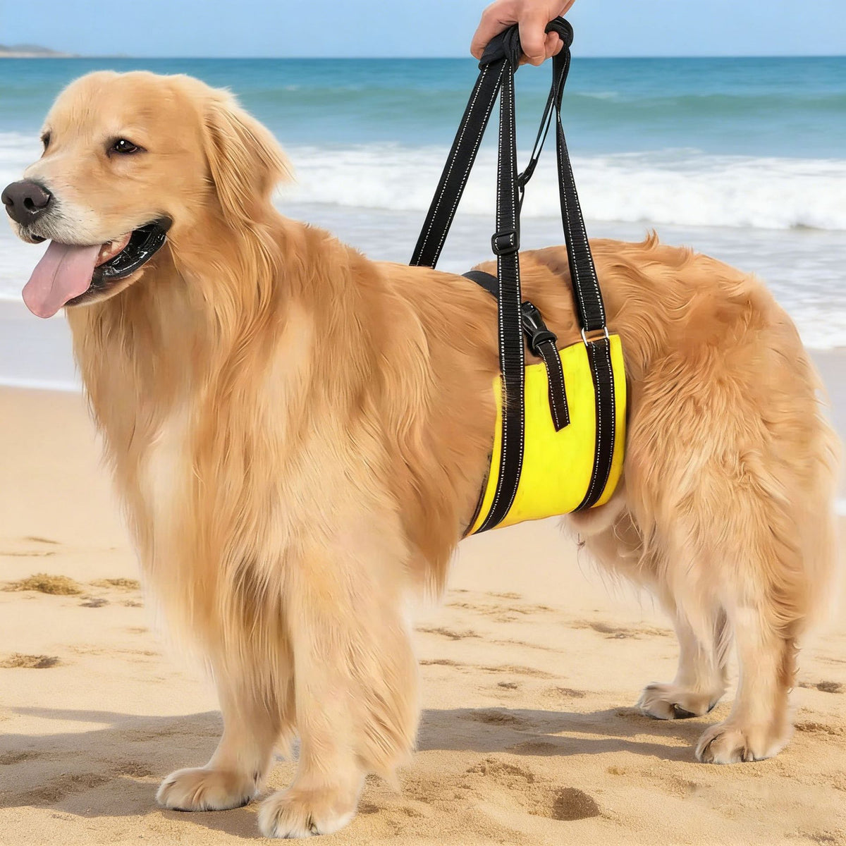 Dog Walking Aid Harness for Elderly and Disabled Dogs, Adjustable Post-Surgery Rehabilitation Support