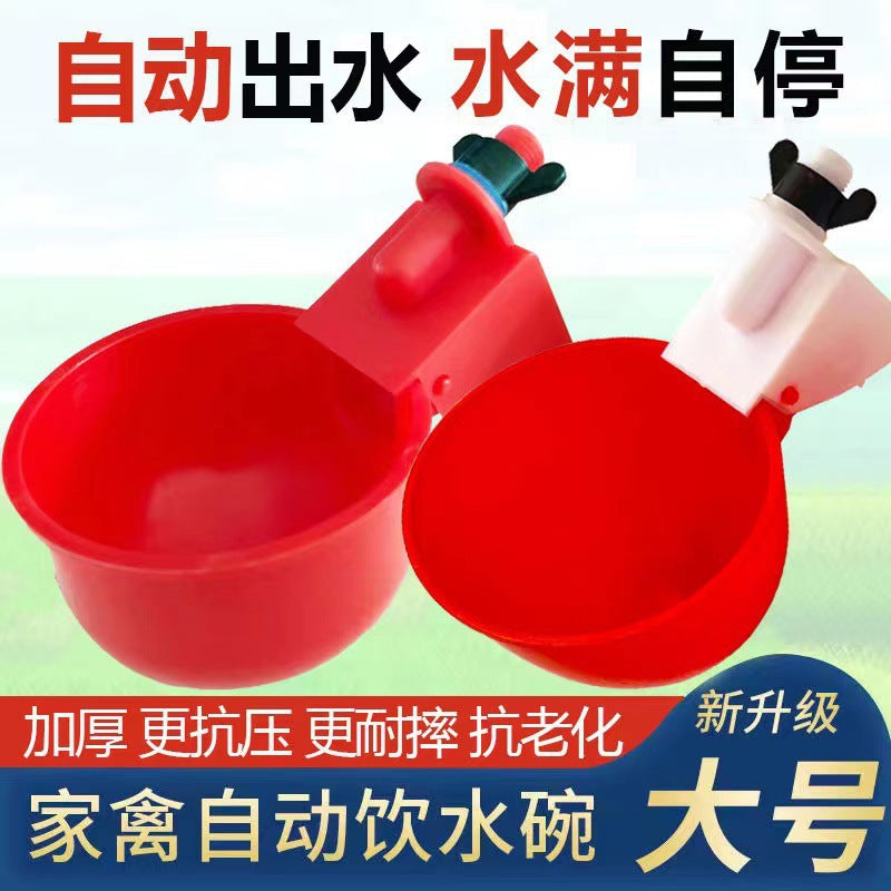 Automatic Poultry Waterer for Chickens and Ducks