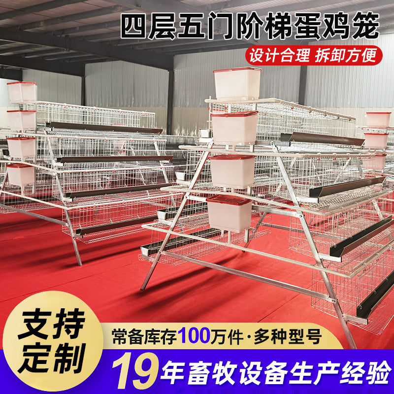 Galvanized Layer Hen Cage with Automatic Manure Removal and Feeding Trough, 3-4 Tiers