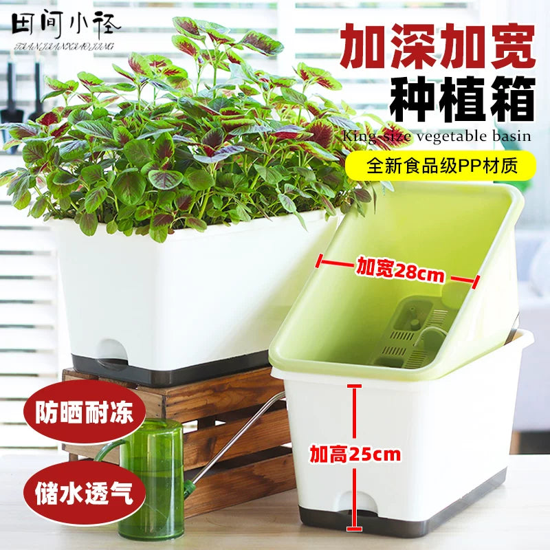 Rectangular Resin Garden Planter Box for Vegetables and Herbs, Deepened Design
