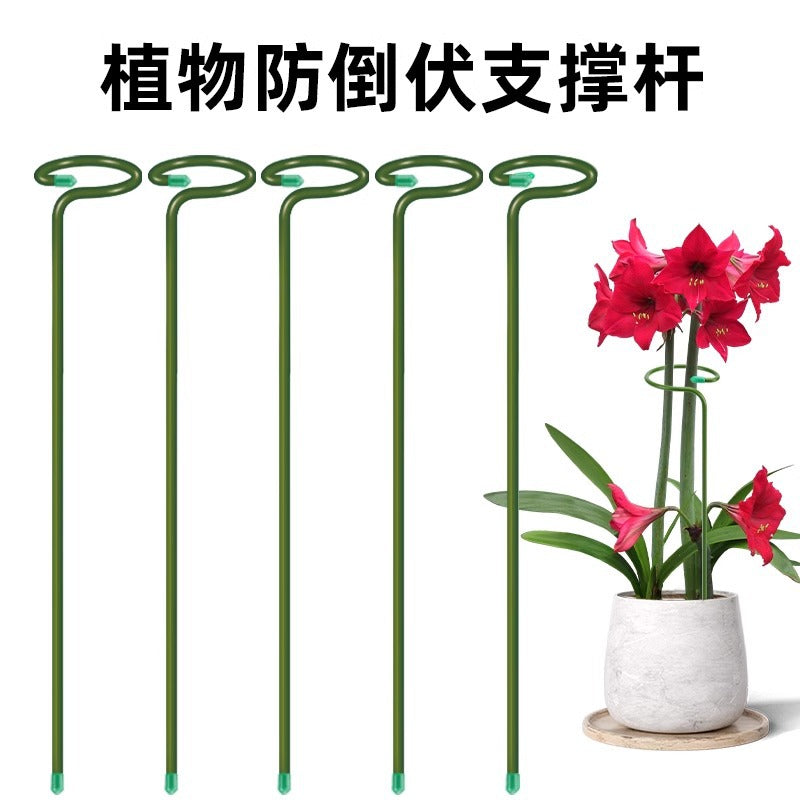 Plant Support Stakes for Amaryllis and Floral Arrangements, Coated Iron Garden Plant Support Rods