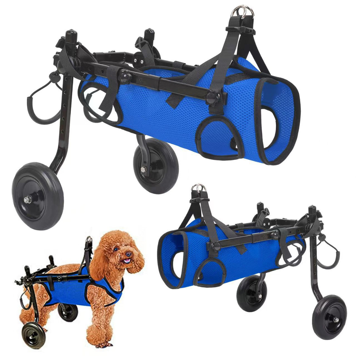 Pet Dog Wheelchair for Rehabilitation and Walking Assistance - Adjustable Mobility Cart for Disabled Dogs
