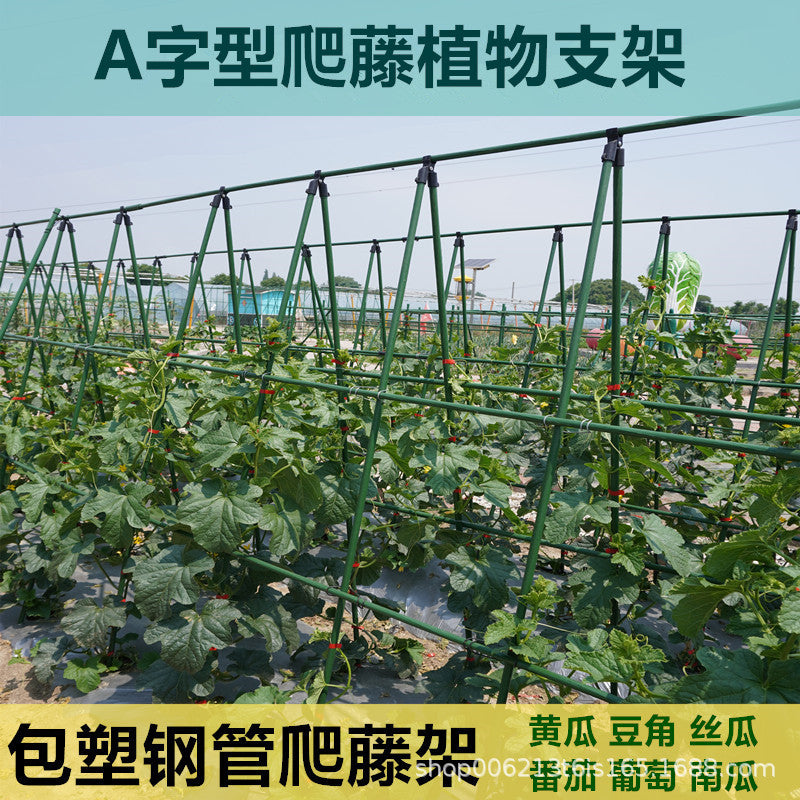 A-Frame Trellis Plant Support for Grapes and Climbing Plants, Coated Steel Tube Garden Frame