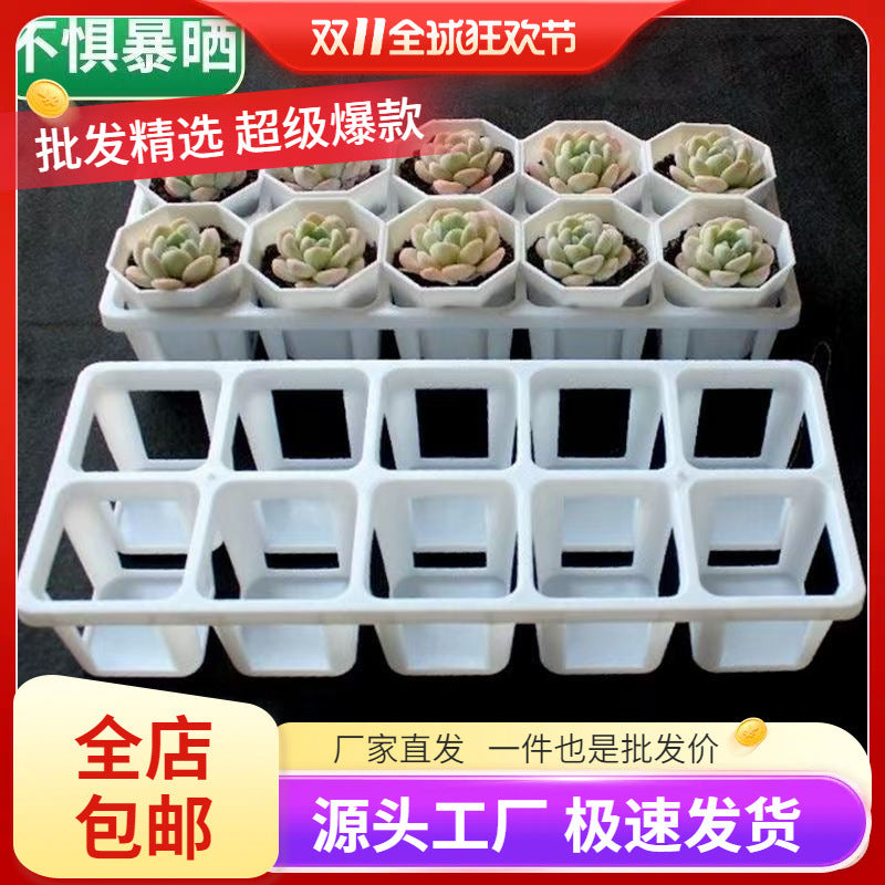 Succulent Planter Tray with 10 Holes and Square Pots for Balcony Gardening