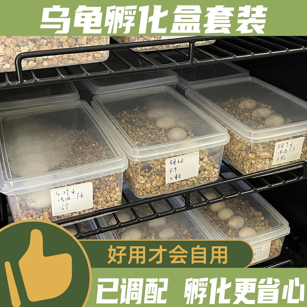 Reptile Egg Incubator Box with Vermiculite for Lizards, Geckos, Snakes, and Turtles