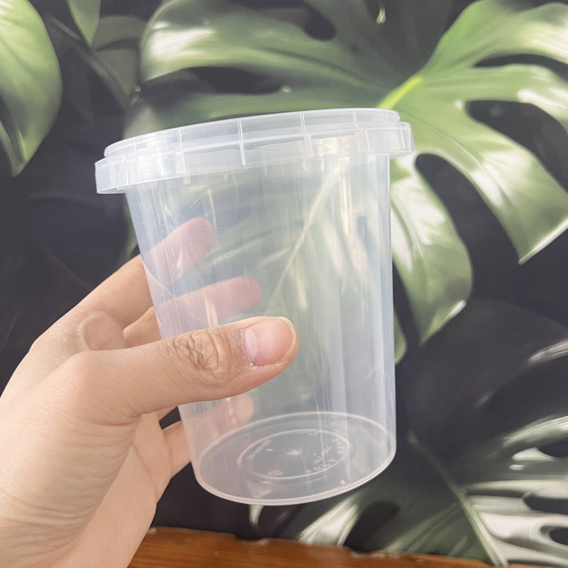 Clear Orchid Pot with Root Control, Breathable Slotted Design for Phalaenopsis and Epiphytes
