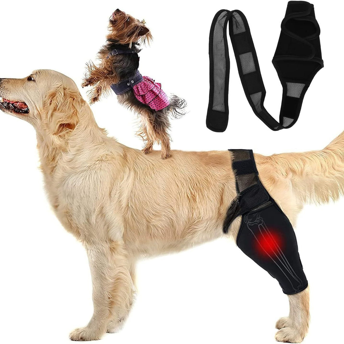Dog Leg Brace for Post-Surgery Recovery, Anti-Lick Joint Protector for Injuries and Fractures