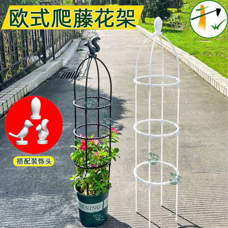 Metal Plant Trellis for Climbing Plants, Peonies, and Roses - Indoor/Outdoor Support Cage