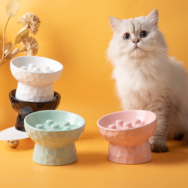 Ceramic Elevated Slow Feeder Pet Bowl for Cats and Small Dogs, Tilted Anti-Vomit Anti-Choke Food Dish
