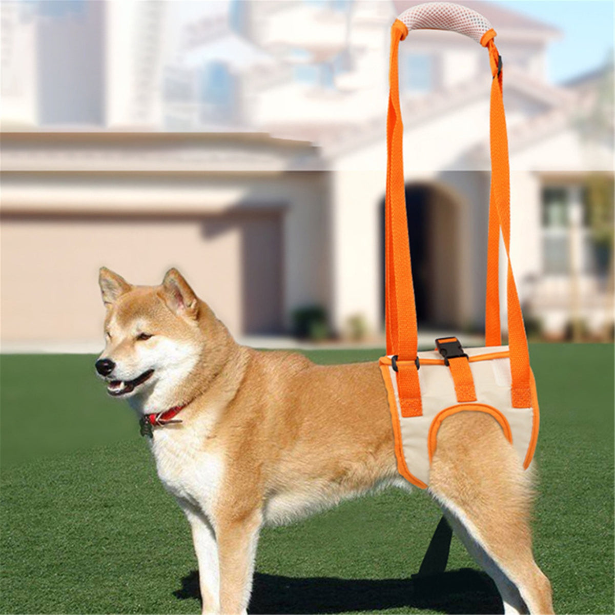 Pet Mobility Aid Harness for Injured & Elderly Dogs - Support Sling for Walking & Climbing Stairs