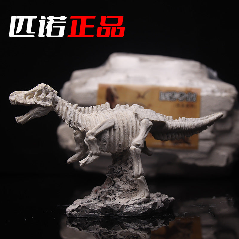 Large Dinosaur Fossil Excavation Kit Blind Box - Tyrannosaurus Rex Skeleton Relief
