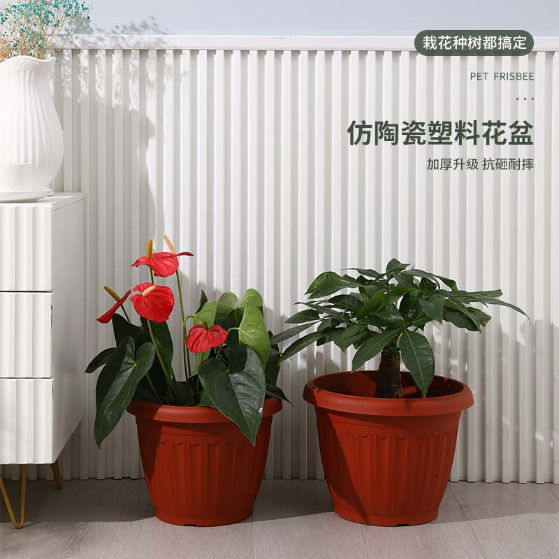 Two-Tone Resin Plastic Nursery Pot for Seedlings and Succulents