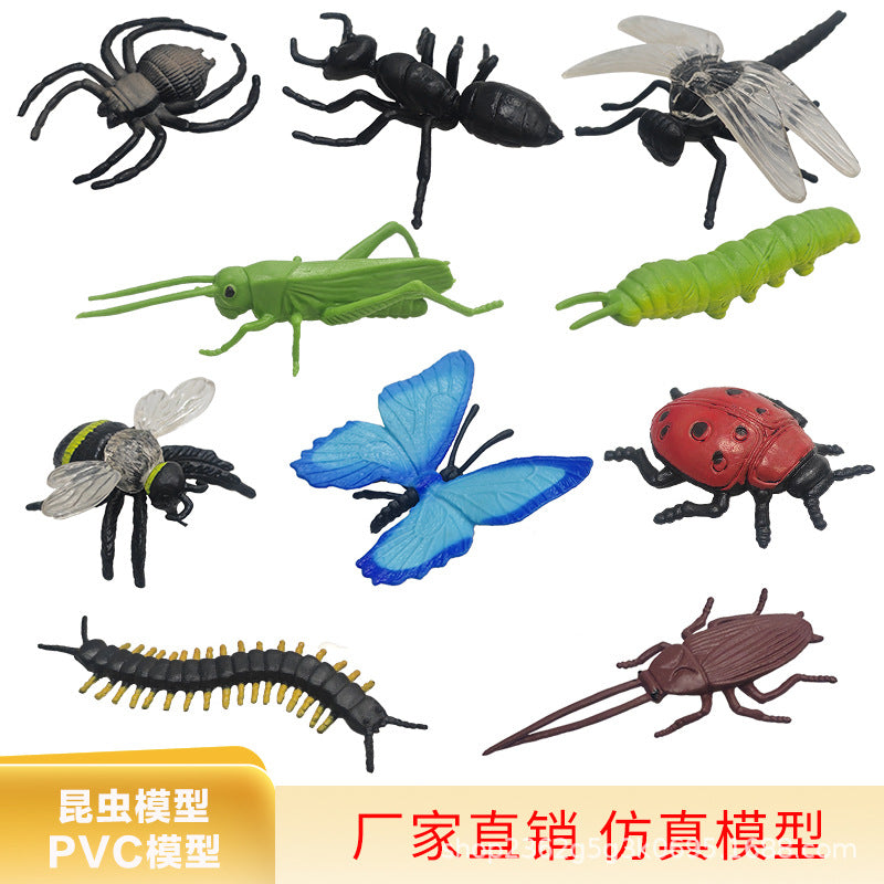 Insect Animal Model Set PVC Kids Educational Toy Butterfly Dragonfly Mantis Solid 10 Pcs Simulation