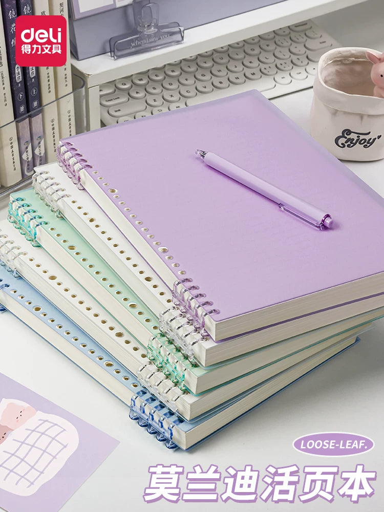 Deli B5/A5 Loose-Leaf Notebook Set for Students, Removable Cover, Study & Meeting Notes