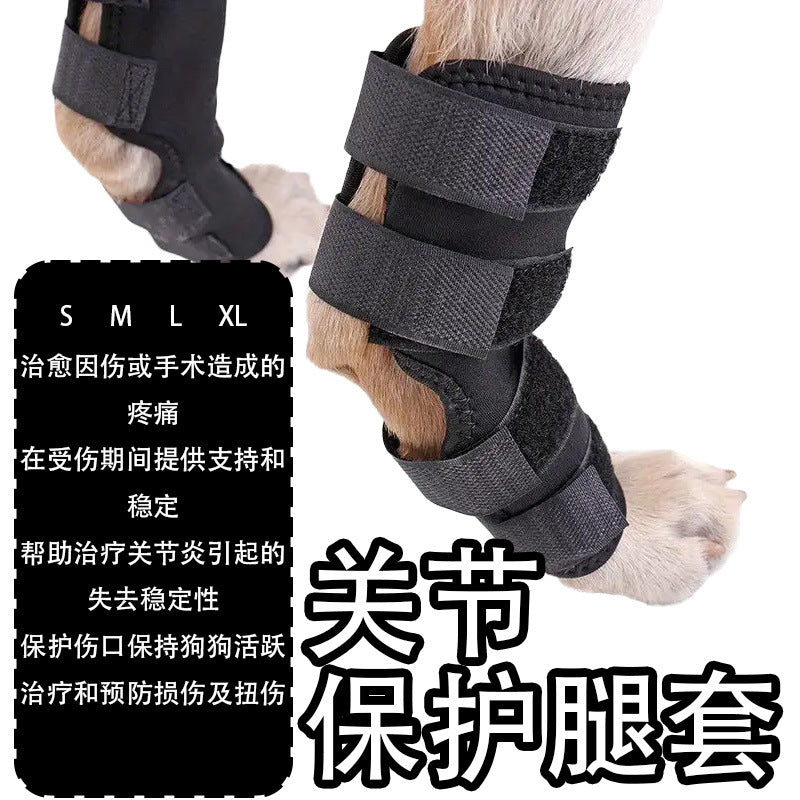 Dog Leg Brace for Injury Support and Protection