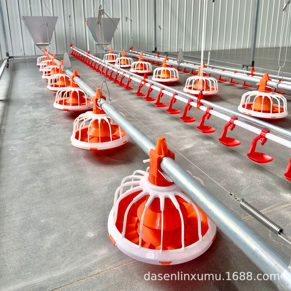 Automatic Poultry Drinking and Feeding Line System for Chickens, Ducks, and Geese