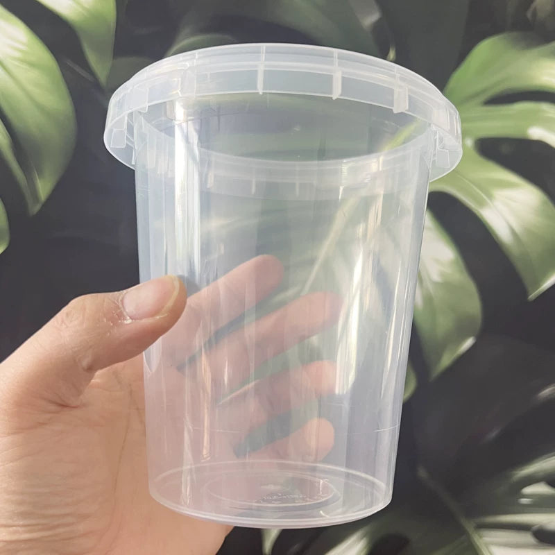 Self-Watering Orchid Pot with Reservoir and Growing Medium