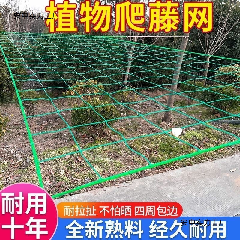 Heavy-Duty Plant Trellis Netting for Climbing Vegetables and Fruits