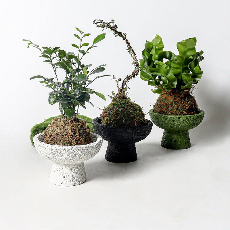 Creative Cement Planter for Succulents and Moss, Indoor/Outdoor Balcony Green Plant Pot
