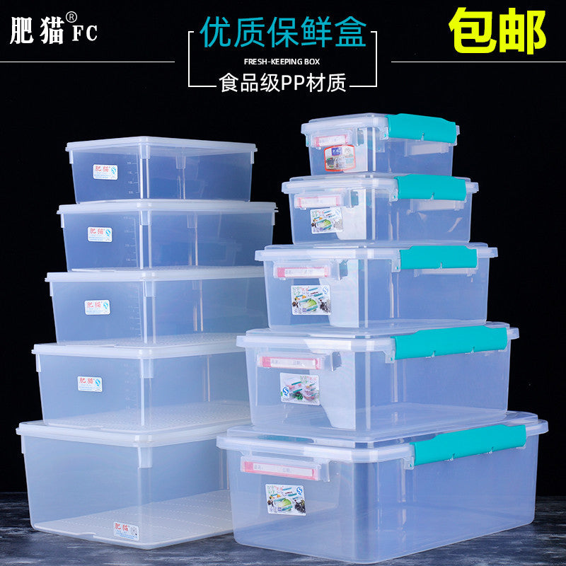 Large Capacity Rectangular Food Storage Container with Lid and Drainer for Refrigerator and Freezer