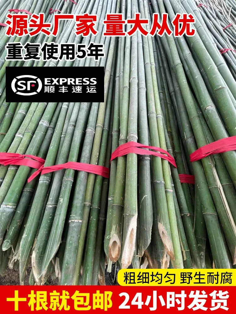 Bamboo Garden Stakes for Climbing Plants, Vegetables, and Fences