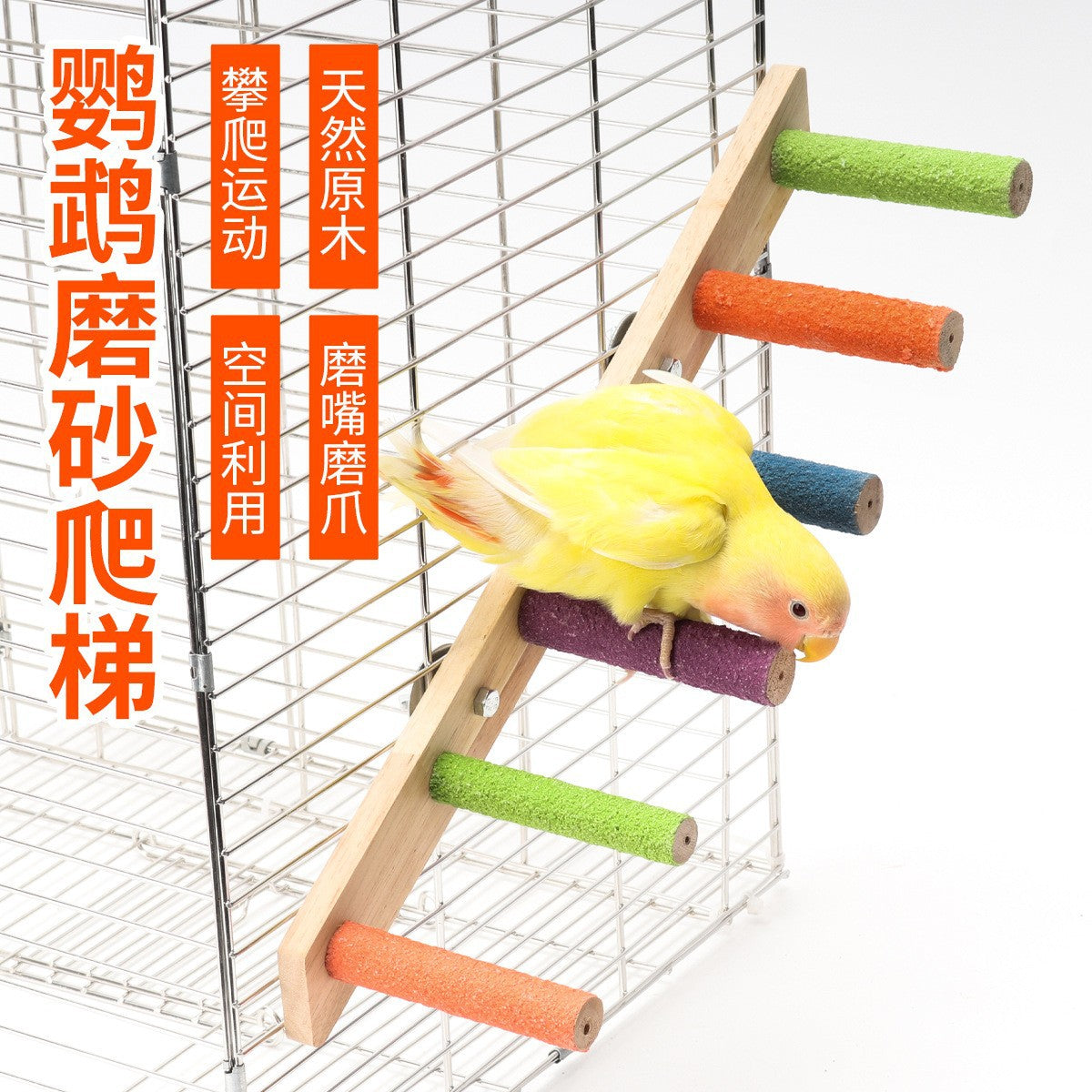 Parrot Bird Interactive Climbing Ladder Toy with Perch and Chew Accessories