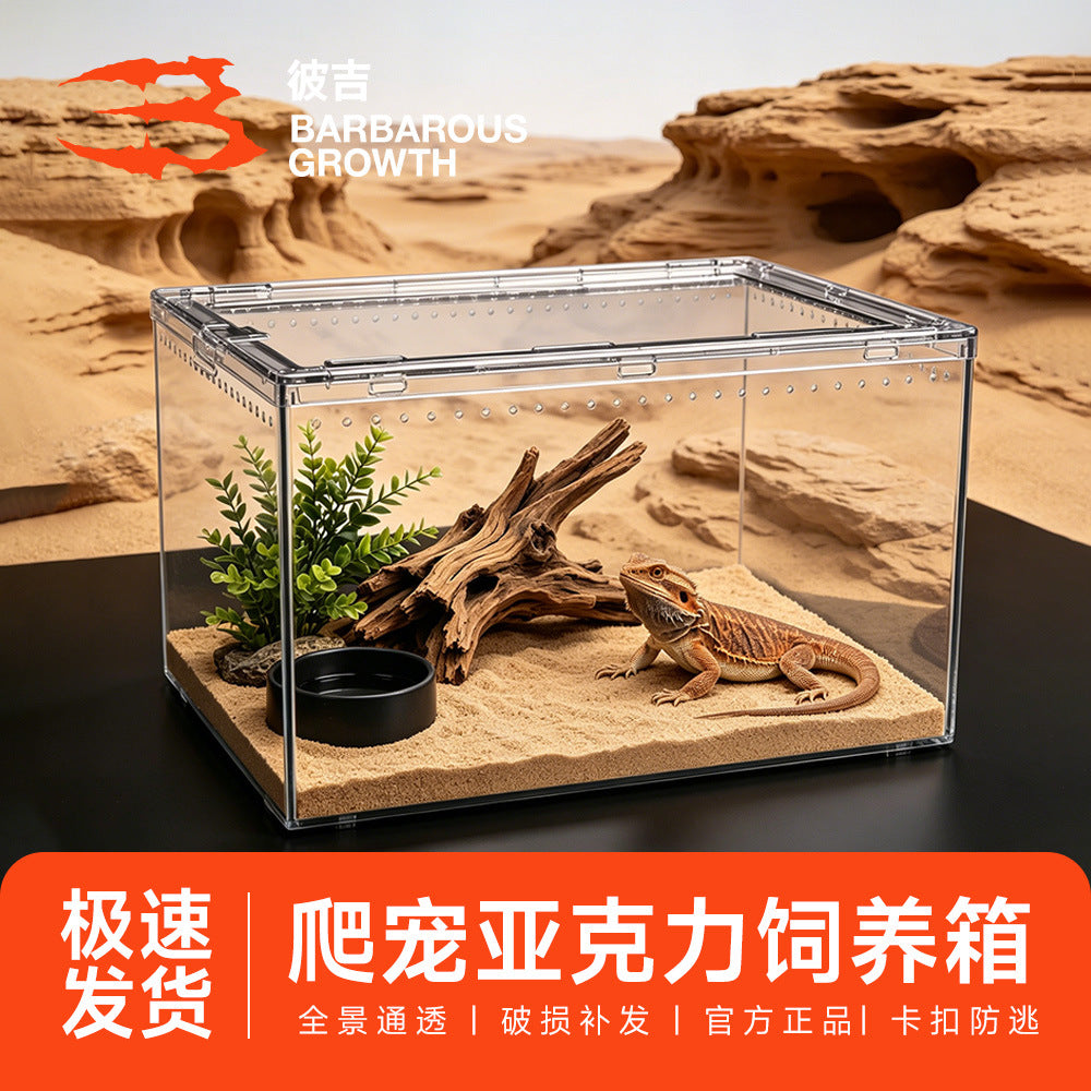 Transparent Acrylic Reptile and Insect Terrarium with Secure Latch