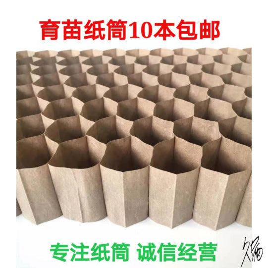 Biodegradable Paper Pot Seedling Starter Kit for Greenhouse Gardening