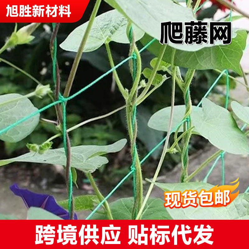 Garden Trellis Netting for Climbing Plants, Vines, and Vegetables - PE Mesh Support for Grapes, Beans, and Flowers