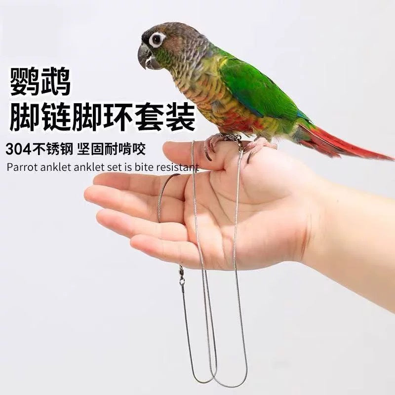 Parrot Stainless Steel Ankle Chain Leash for Small to Medium Birds