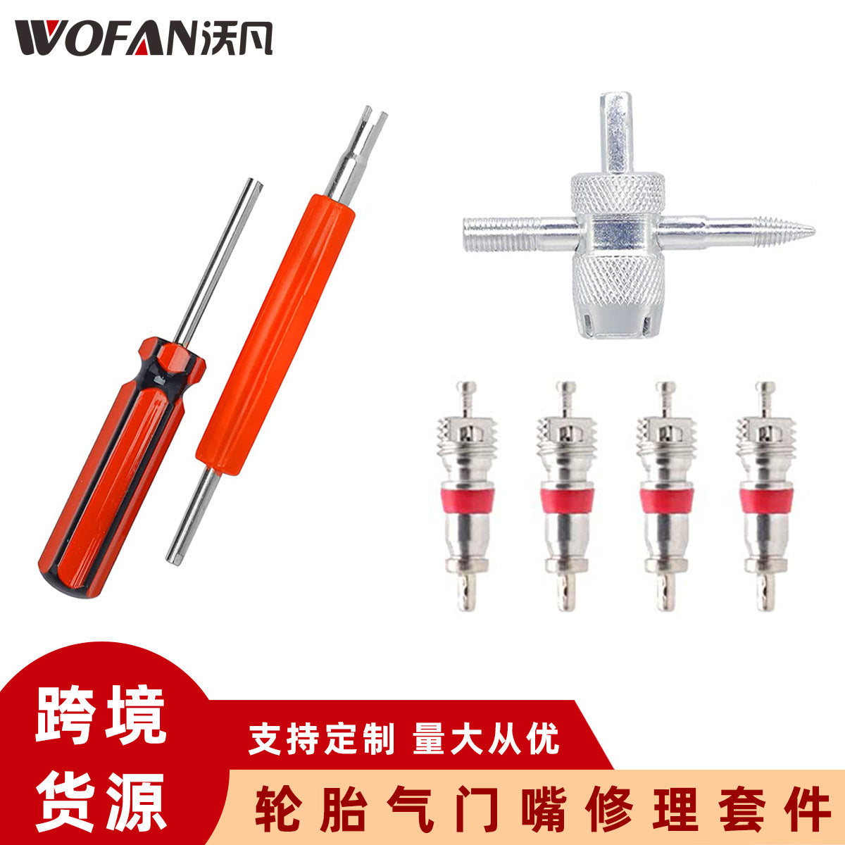 Tire Valve Stem Repair Kit with Valve Cores and Removal Tools