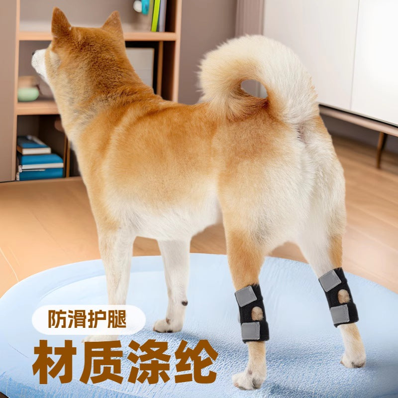 Adjustable Dog Rear Leg Brace for Joint Support and Recovery