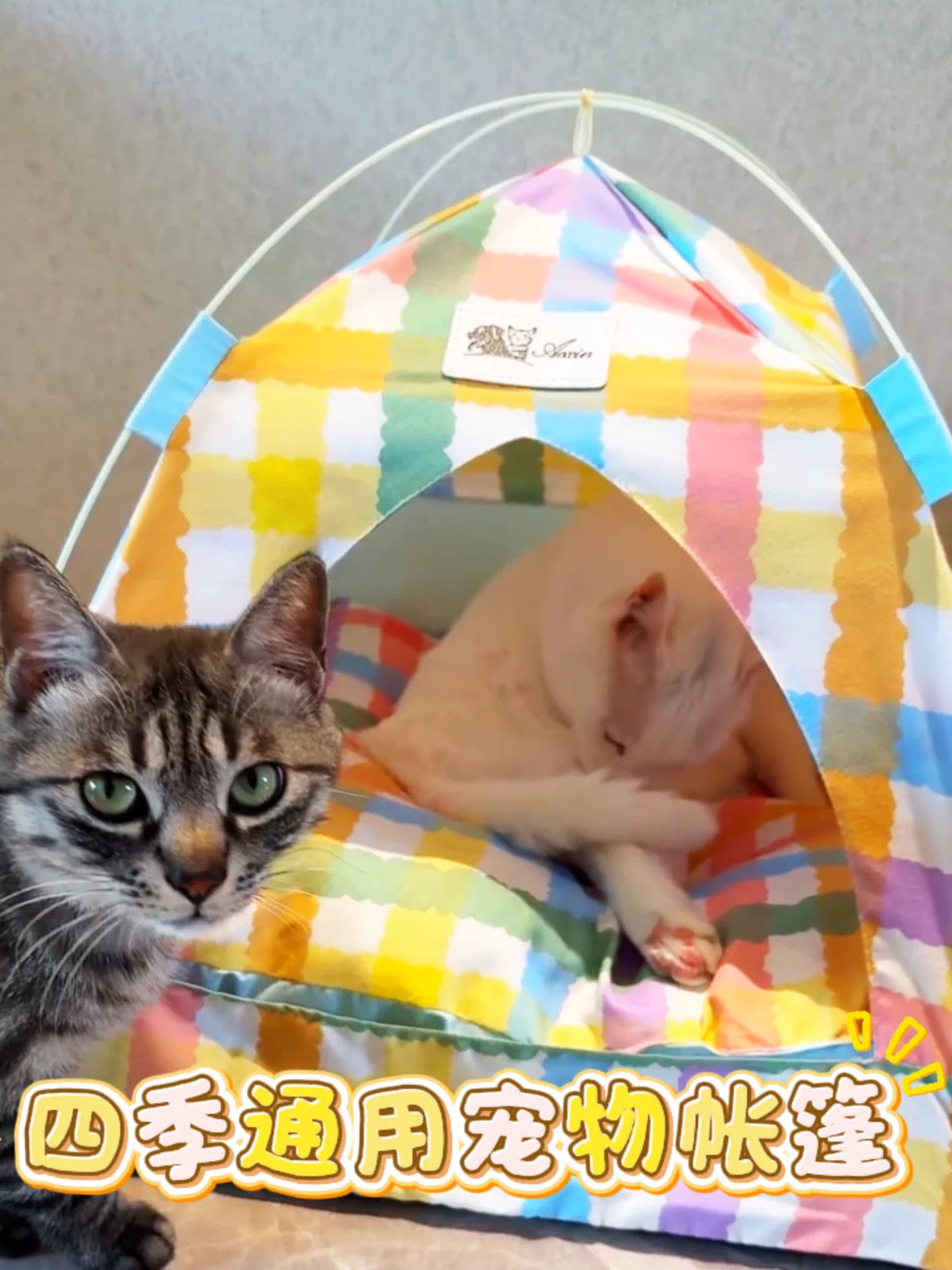Foldable Pet Tent Bed for Cats & Small Dogs, Breathable Outdoor Sunshade Kennel, Washable Pet House
