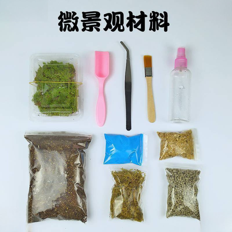 DIY Moss Terrarium Kit with Sphagnum Moss and Nutrient Soil for Succulents and Plants