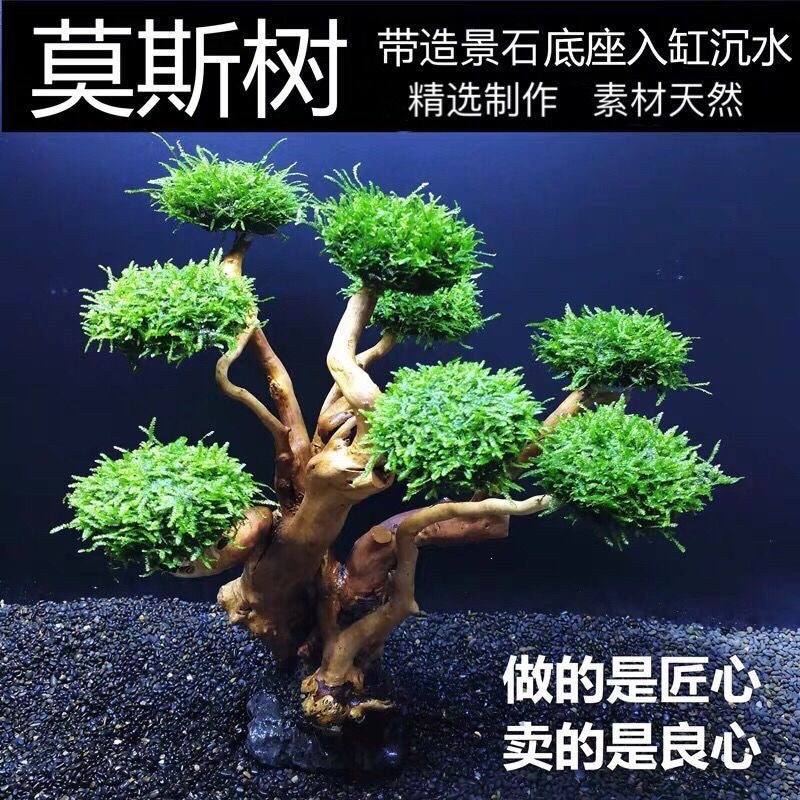 Aquarium Moss Tree Driftwood Decoration for Fish Tank Landscaping