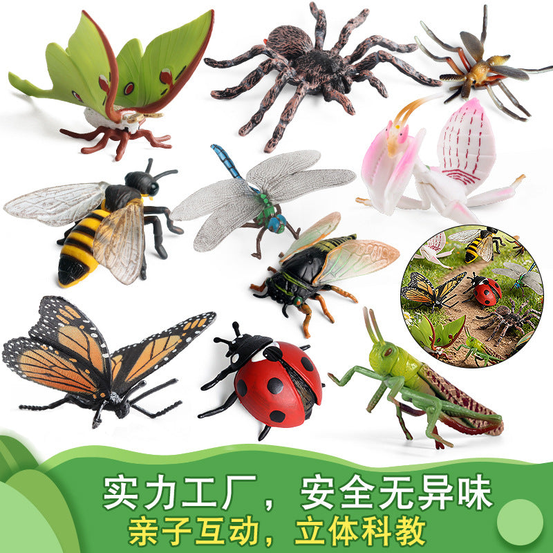 Kids' Educational Insect and Animal Figurines Set - Cicada, Mantis, Butterfly, Bee Models