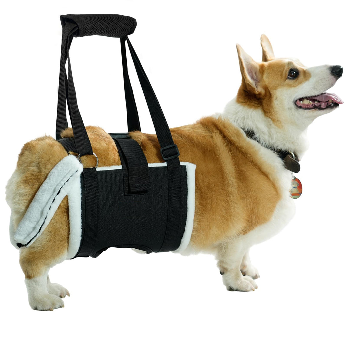 Dog Mobility Harness for Injured, Disabled, or Elderly Dogs - Rear Leg Support Sling for Medium to Large Breeds