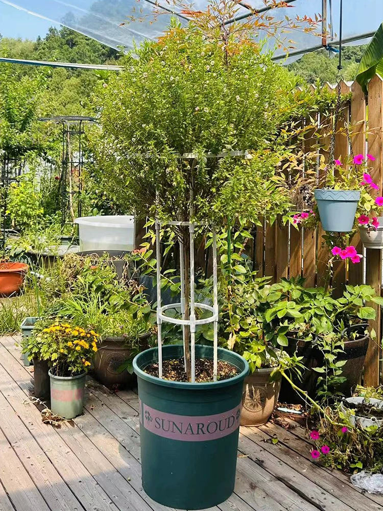 Garden Plant Support Trellis for Climbing Roses and Vines, Umbrella-shaped Metal Flower Stand