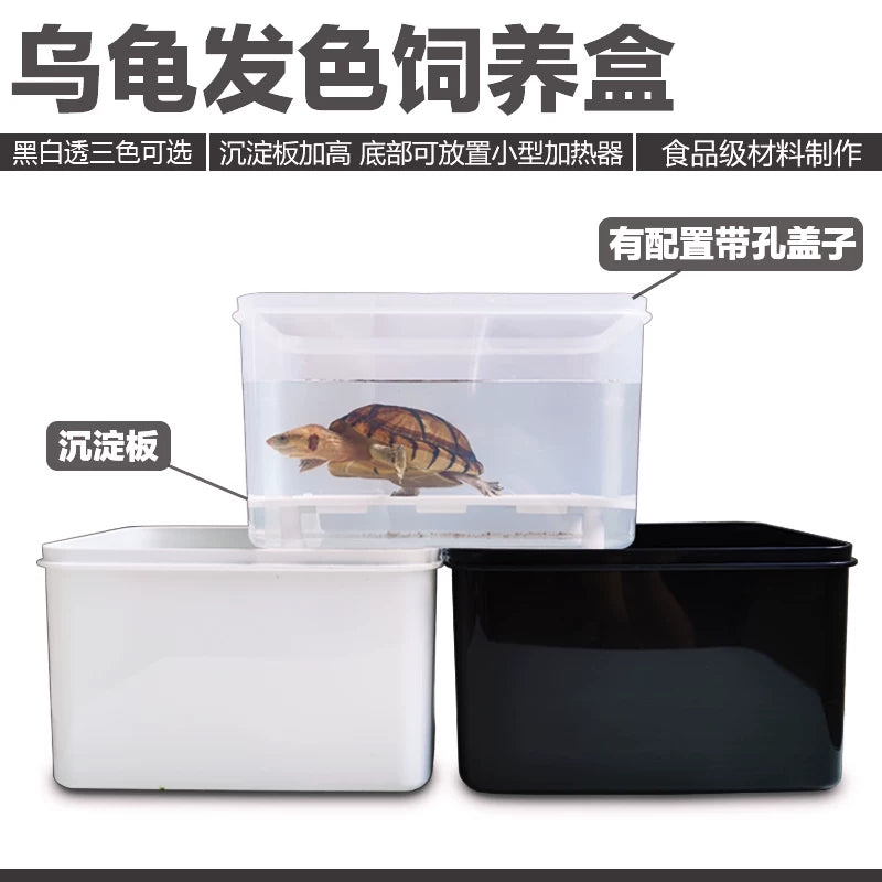 Turtle Breeding Box with Sedimentation Tank for Hatching and Rearing