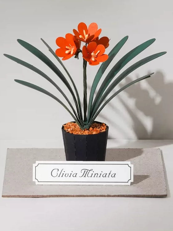 Jeancard 3D Laser-Cut Clivia Paper Model Kit
