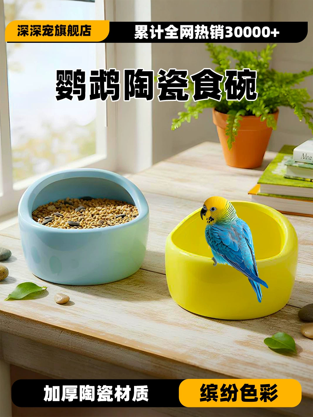 Ceramic Parrot Feeder Bowl for Small Birds, Anti-Splash Food Dish