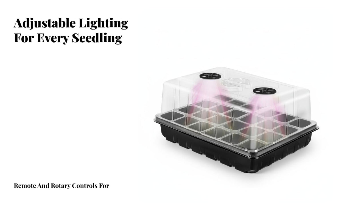 Plants Tray with Dome Transparent Lid Plants Starter Tray Kit Plant Sprouting Box for Home Gardeners, Beginners, Indoor, Balcony