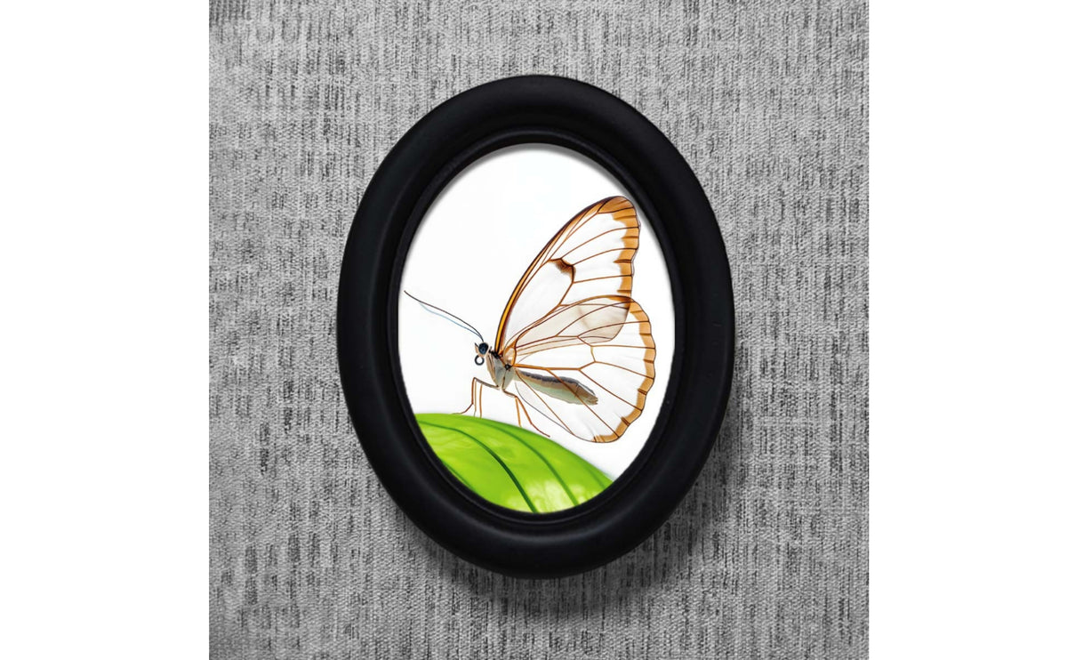 Butterfly Picture Frame Smooth Dark Finish Oval Decorative Picture Frame