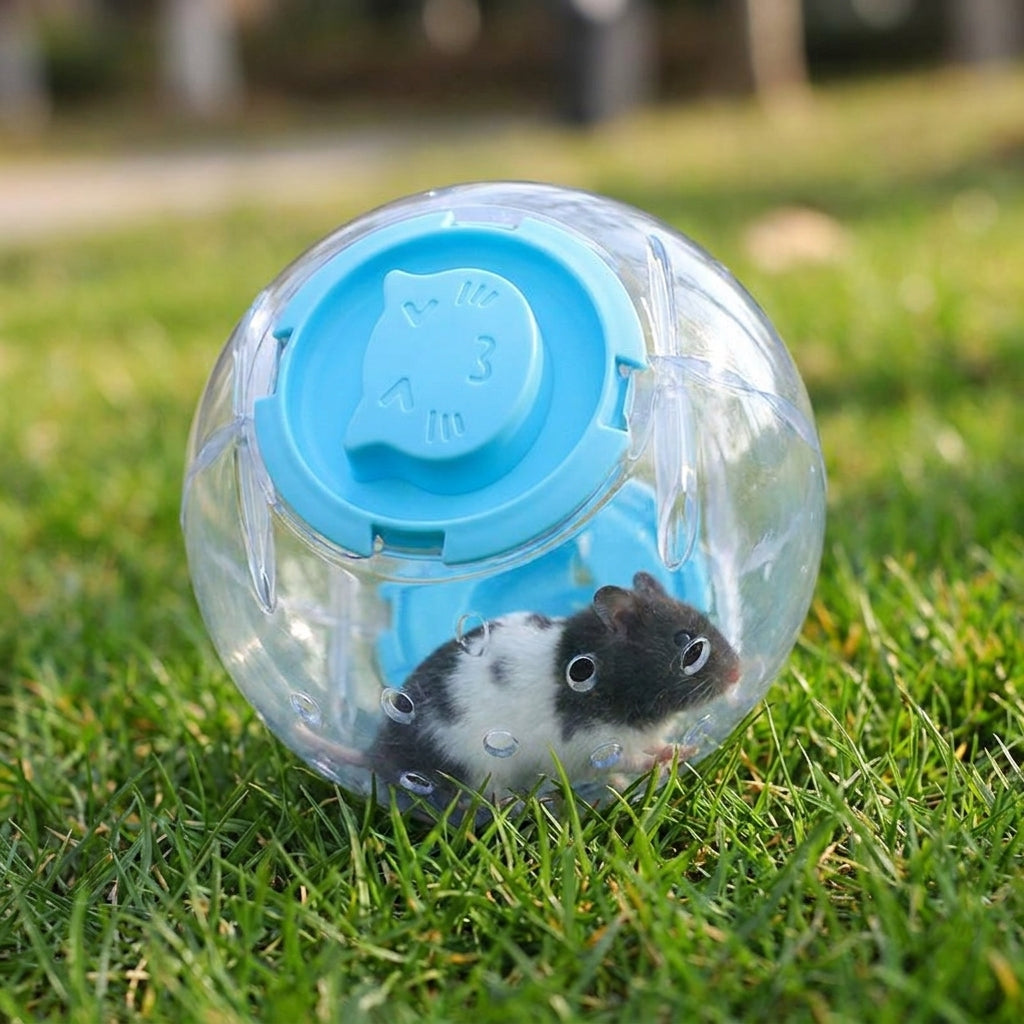 16cm Clear Hamster Ball, Transparent Hamster Ball for Syrian Hamsters Exercise with Ventilation Holes for Indoor Activity Use