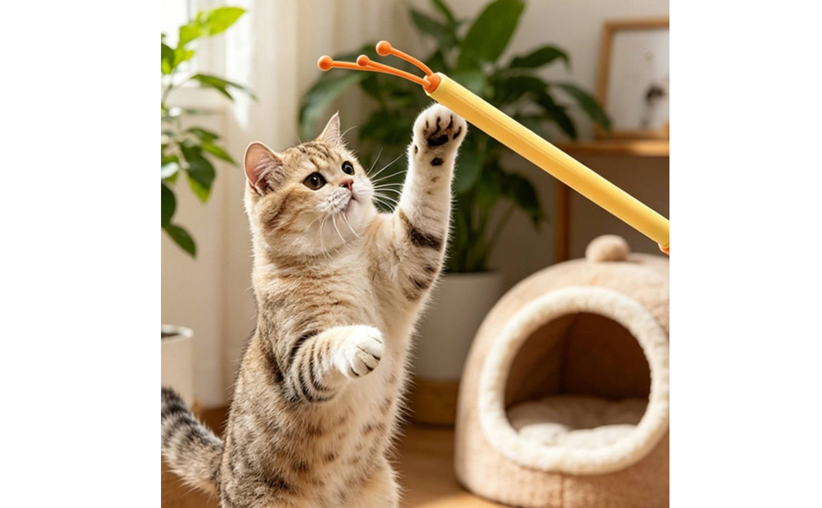 Retractable Cat Teaser Lightweight Cat Petting Implement Exercise Pet Petting Implement