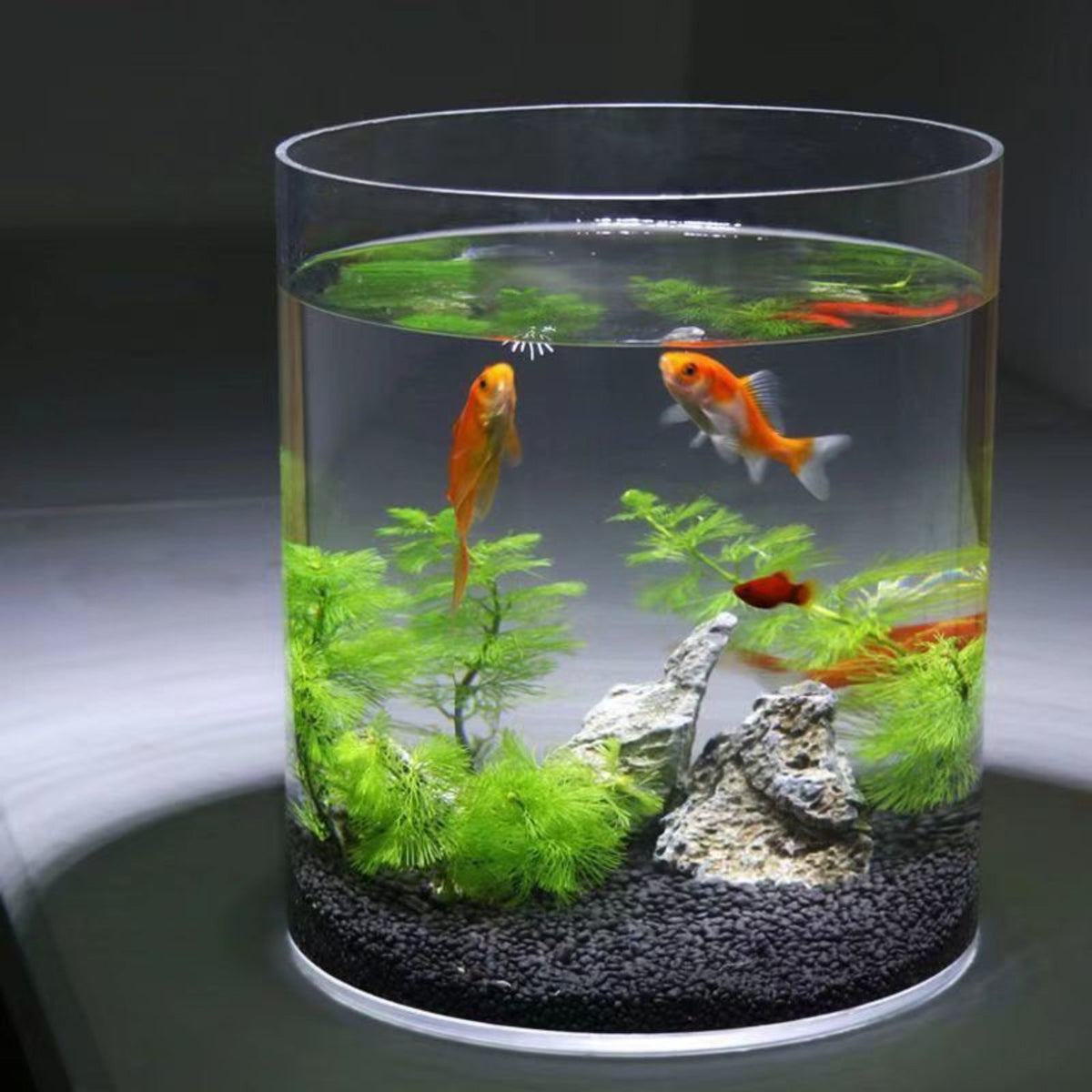 Thick glass cylinder vase