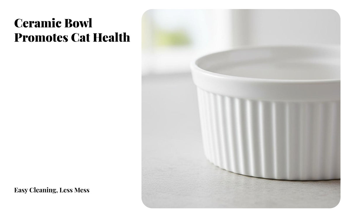 Easy to Clean Ceramic Cat Bowl Glossy Surface Ceramic Pet Bowl High Temperature Resistant for Kittens, Small Animals, Kitchen, Indoors, Home